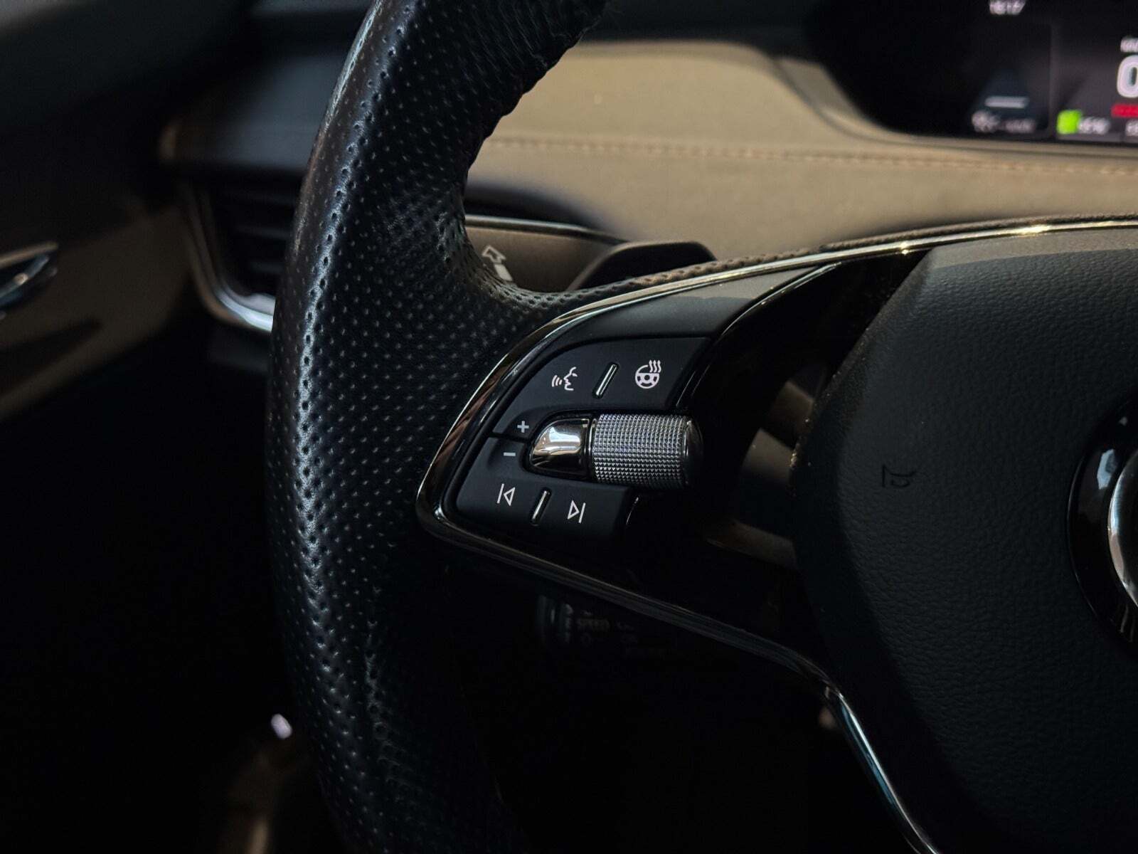 Grøn Skoda Enyaq fra 2021