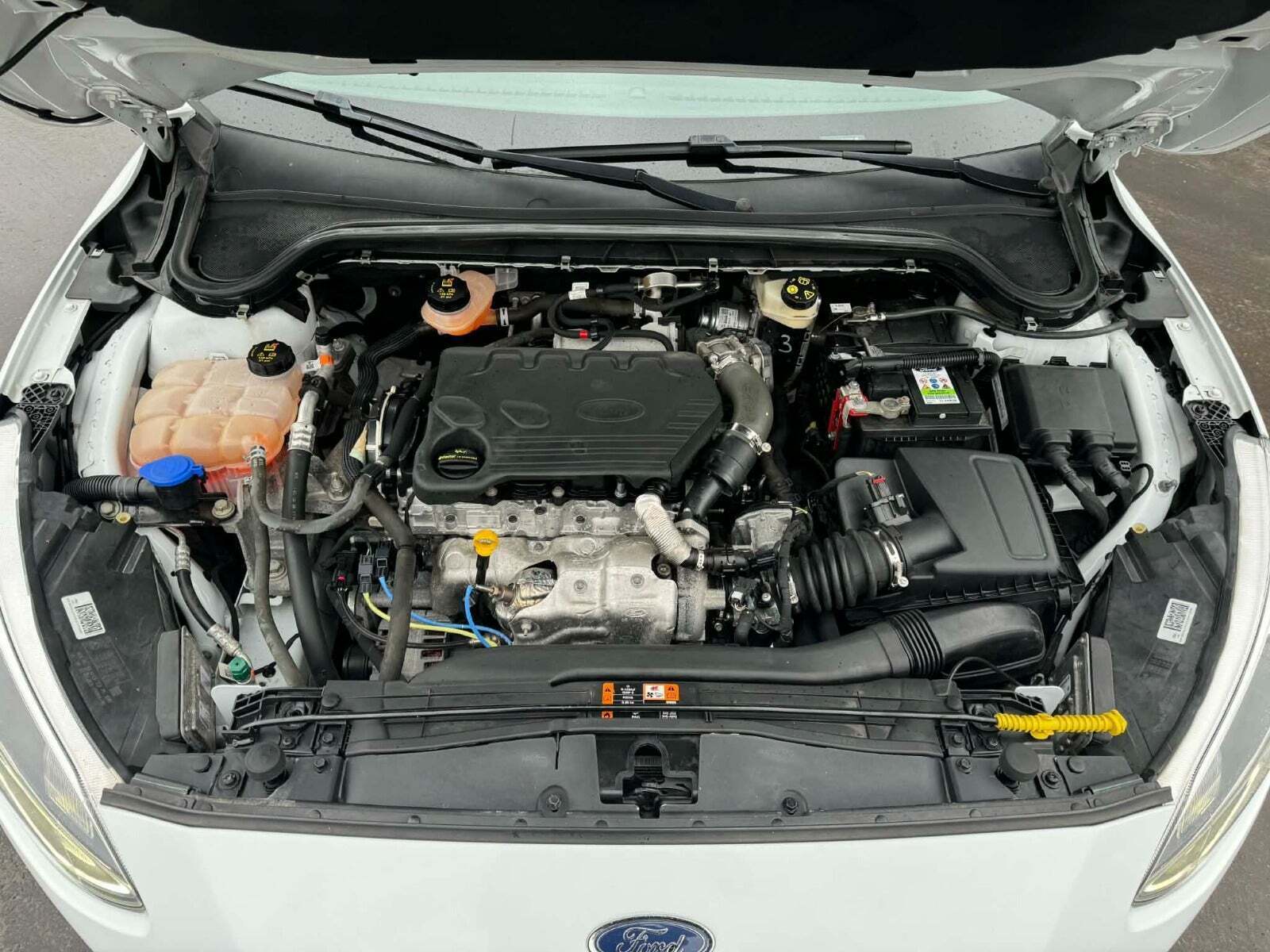 Hvid Ford Focus fra 2019