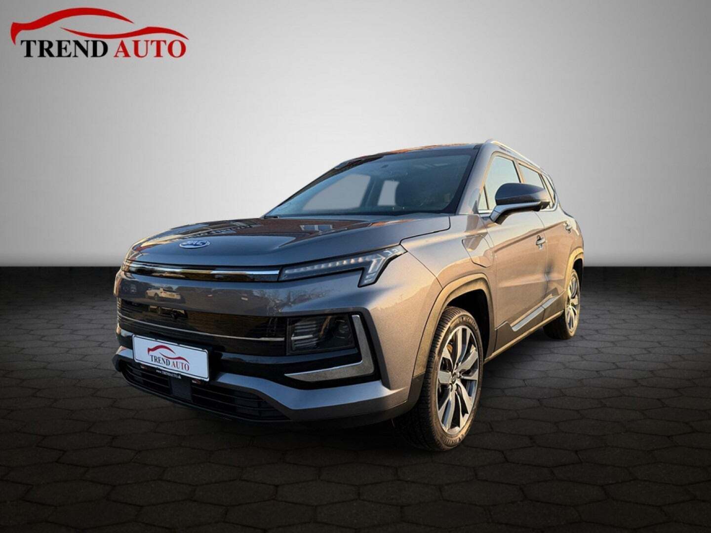 Grå JAC e-JS4 fra 2023