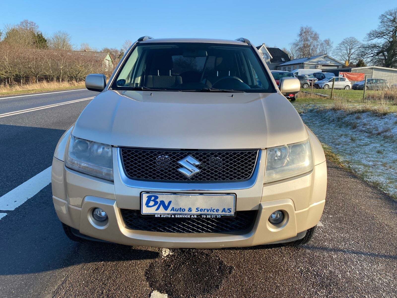 Beige Suzuki Grand Vitara fra 2006