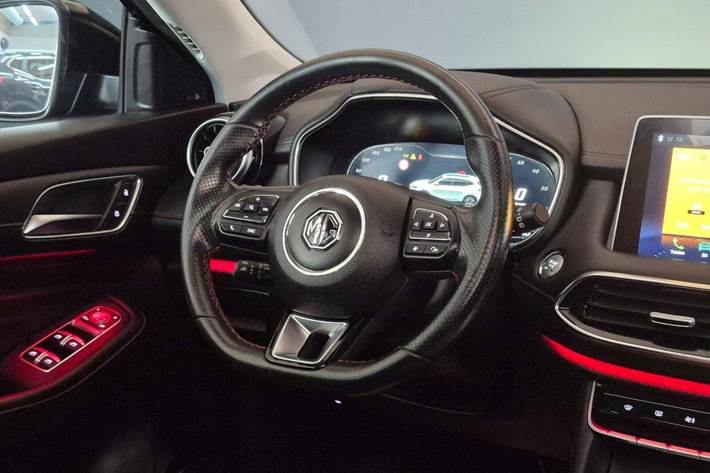 Sort MG EHS fra 2022