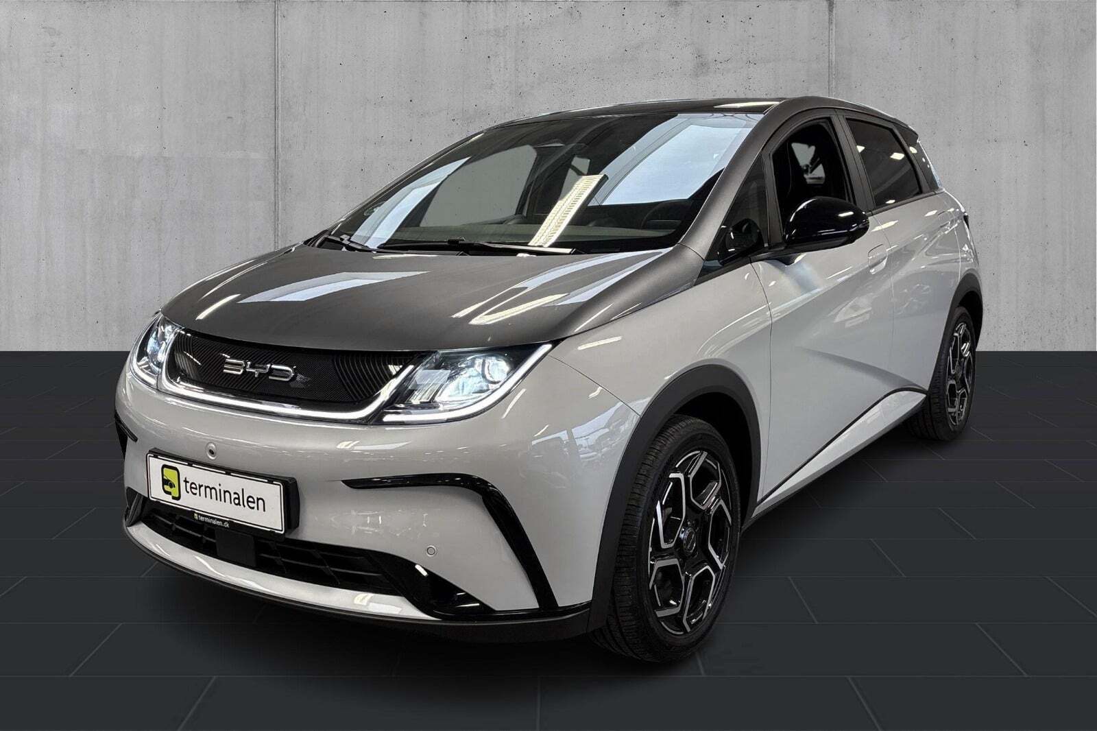 Grå BYD Dolphin fra 2023