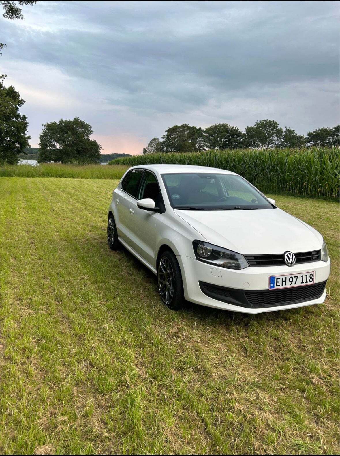 VW Polo 1,6 TDi 90 Comfortline BMT