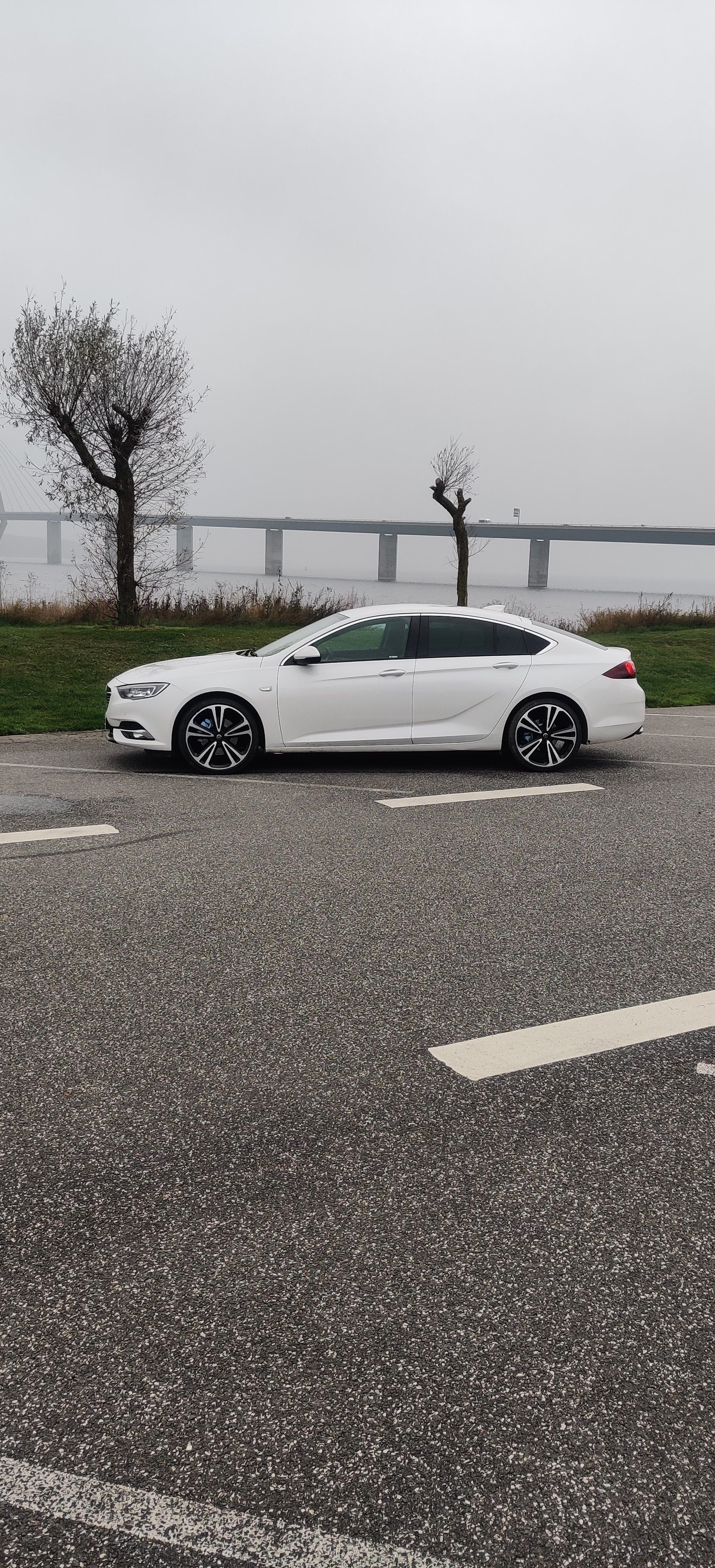 Opel Insignia 2,0 CDTi 170HK 5-dørs Aut.