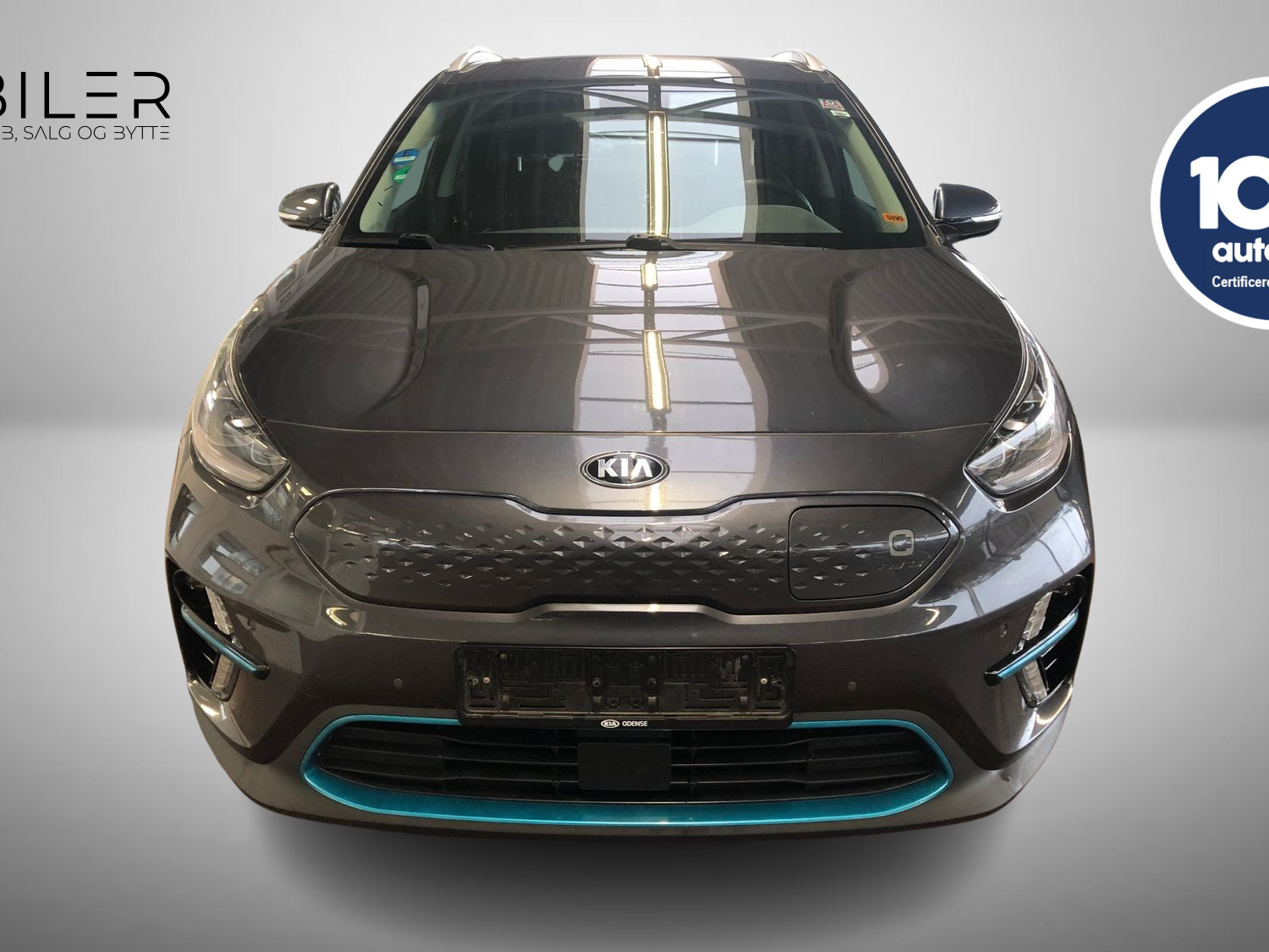Kia e-Niro 64 Premium