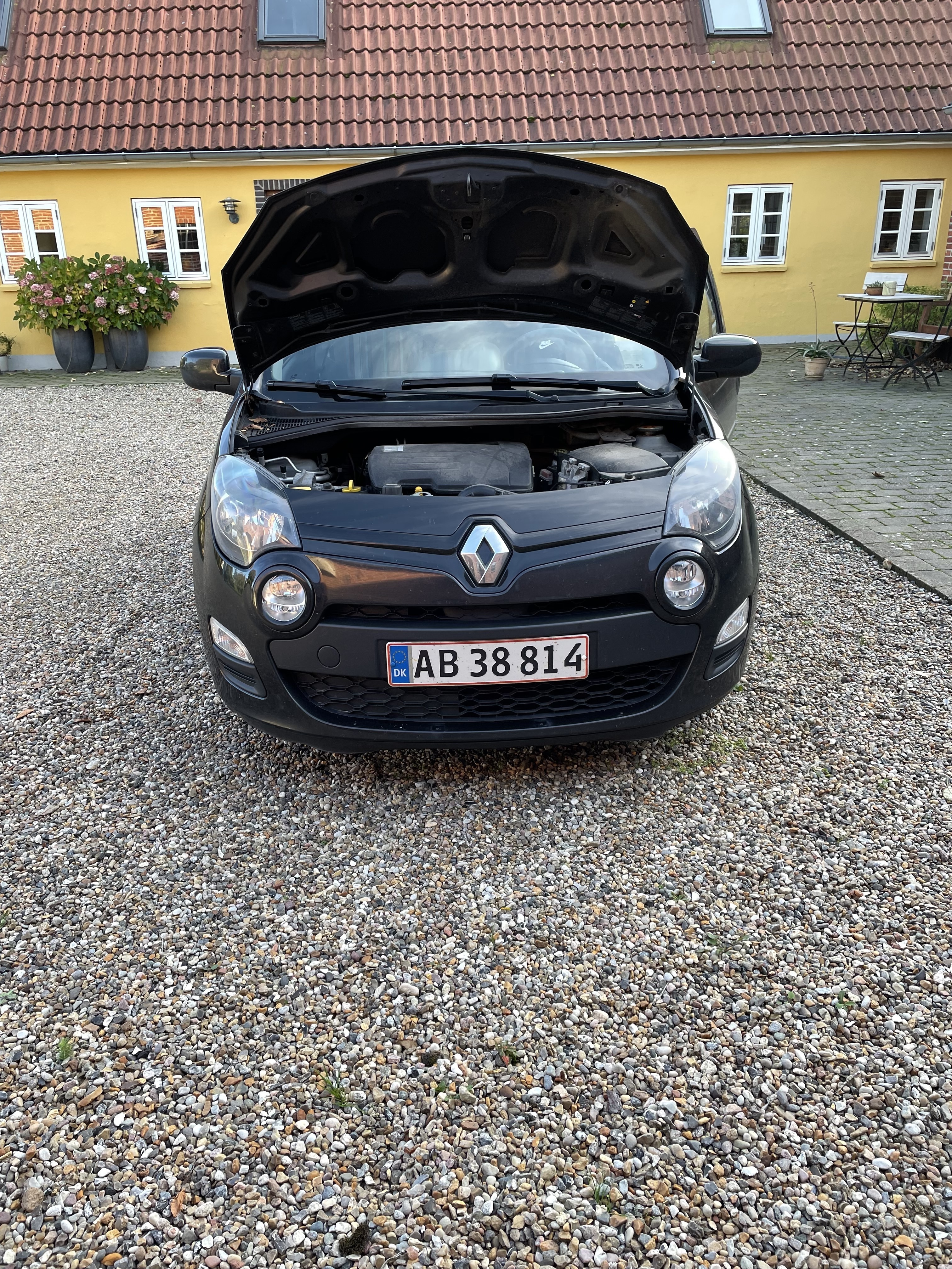 Renault Twingo 1,1 1.2 16V