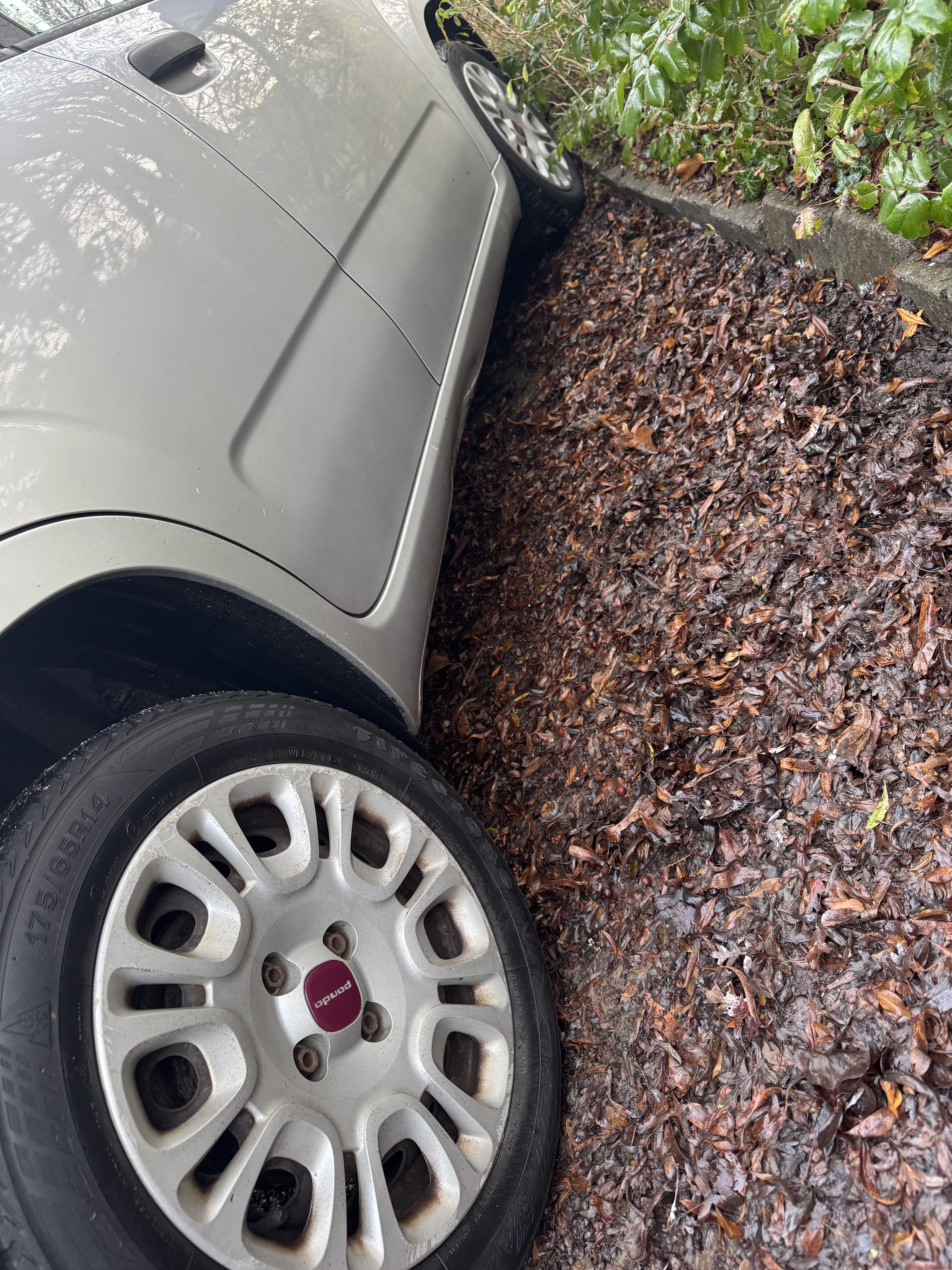 Fiat Panda 1,0 0.9 65