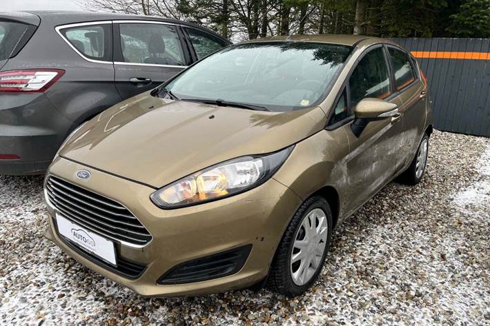 Orange Ford Fiesta fra 2013 set udefra