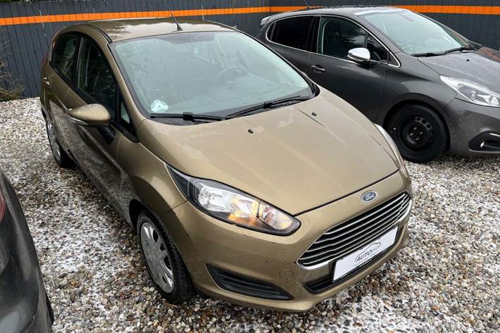 Orange Ford Fiesta fra 2013