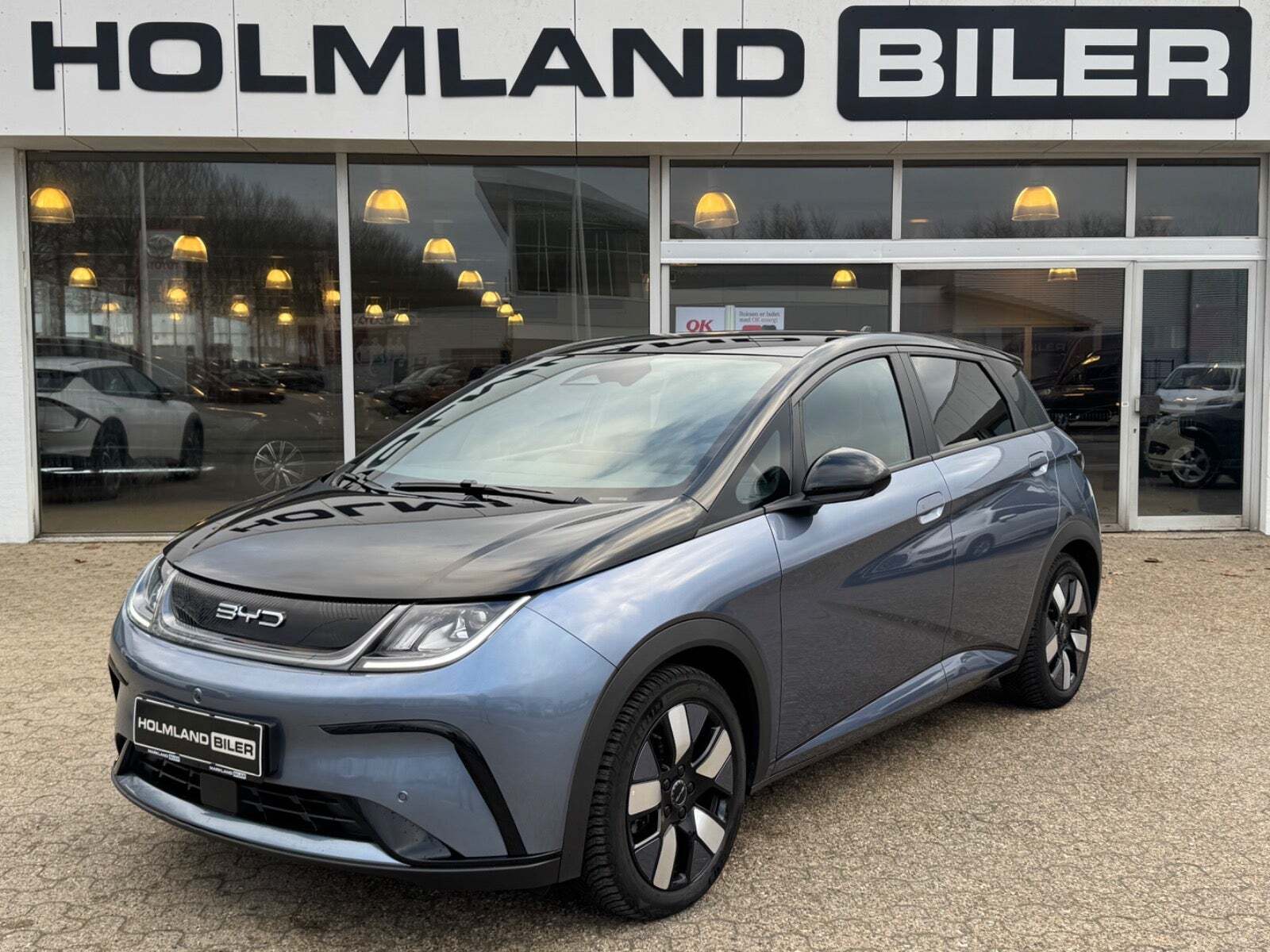 BYD Dolphin 60 Design