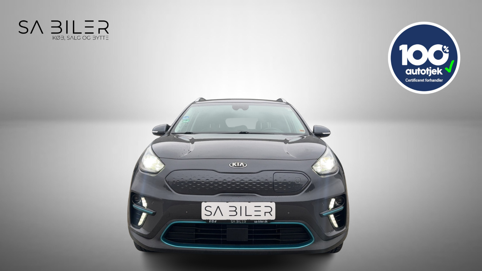 Kia e-Niro 64 Premium