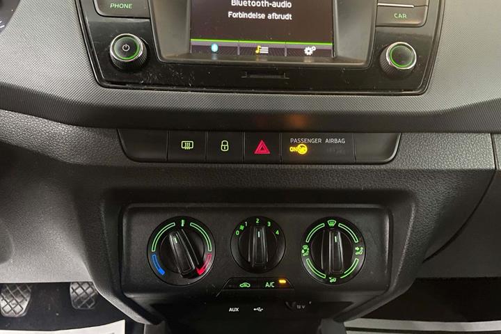 Grøn Skoda Fabia fra 2017