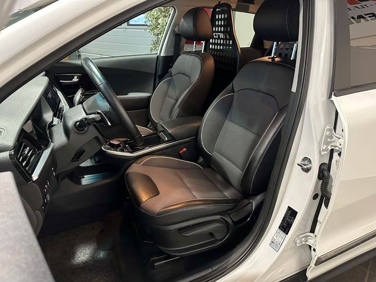 Kia e-Niro 64 Advance Van