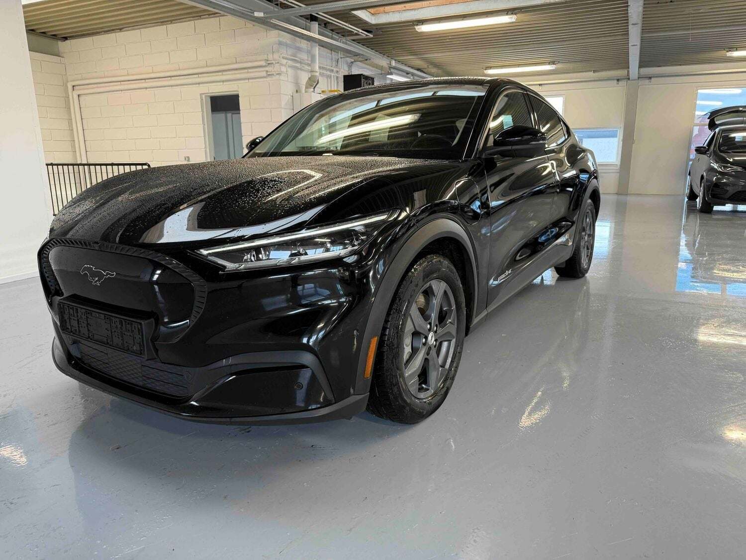 Sort Ford Mustang Mach-E fra 2022