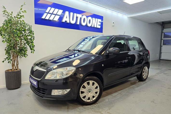 Sort Skoda Fabia fra 2013 set udefra