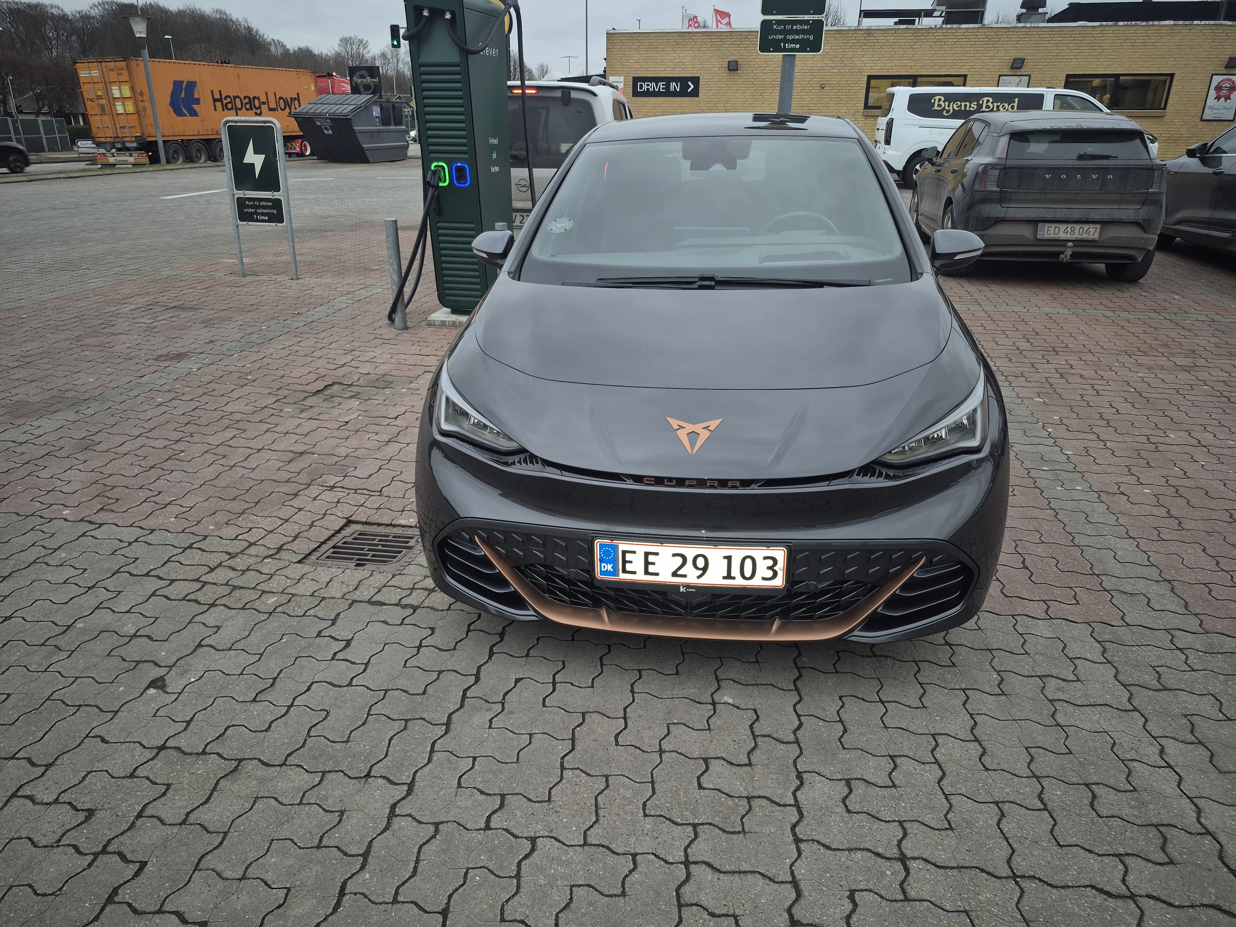 Brun Cupra Born fra 2022