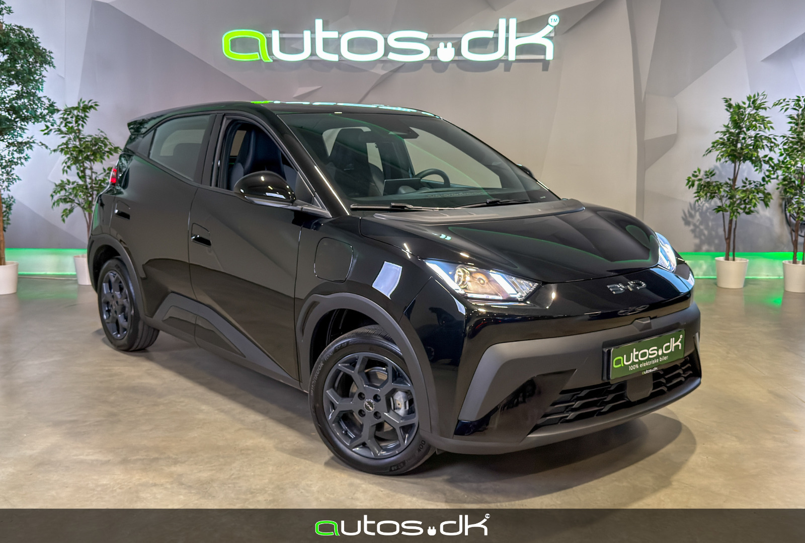 BYD Dolphin Surf 43 Boost