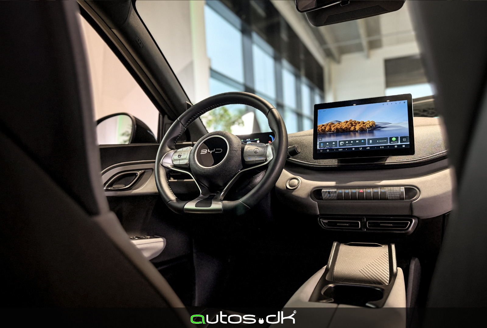 Sort BYD Dolphin Surf fra 2025