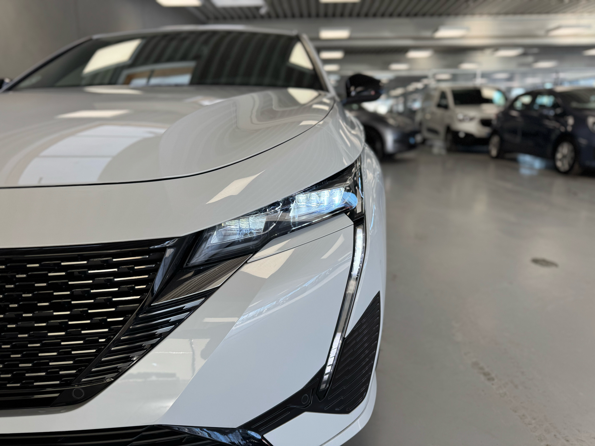 Hvid Peugeot E-308 fra 2023