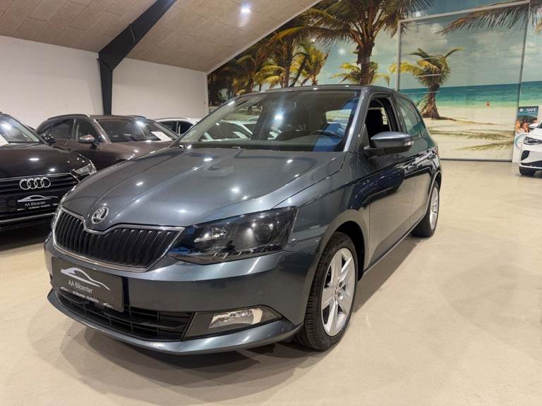 Skoda Fabia 1,0 TSi 110 Style