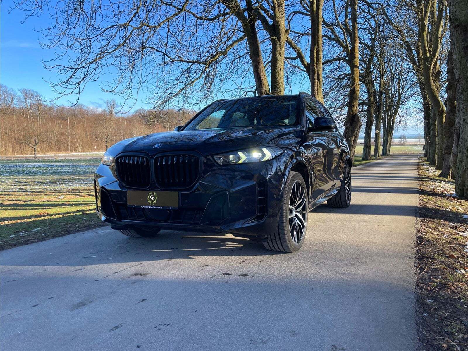 BMW X5 3,0 xDrive50e M-Sport Pro aut.