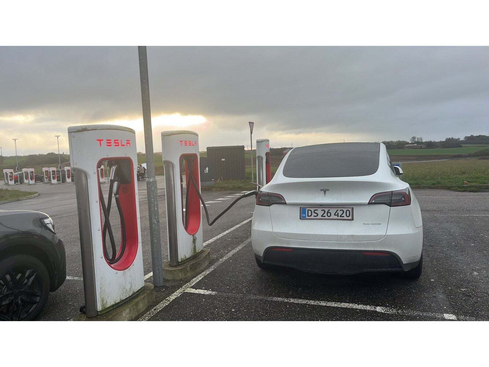 Hvid Tesla Model Y fra 2023