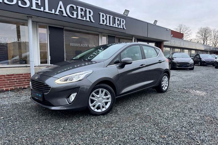 Grå Ford Fiesta fra 2018 set udefra