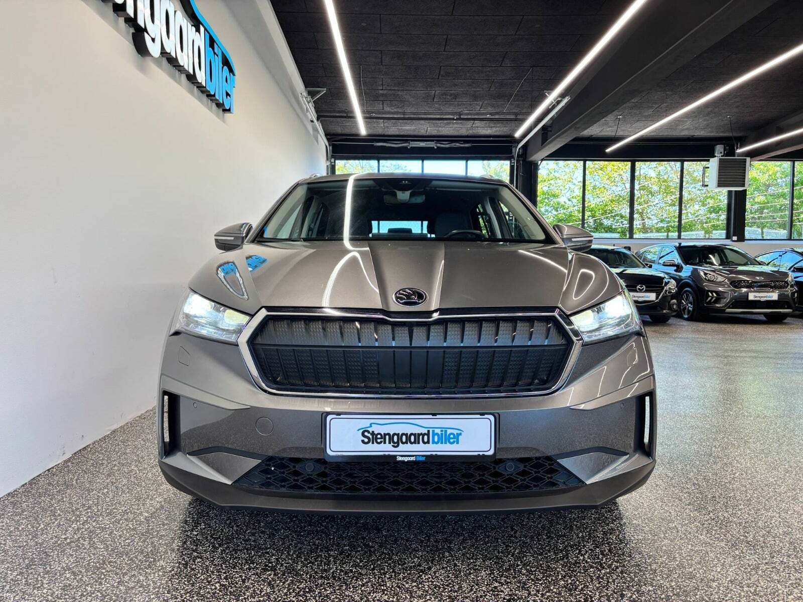 Skoda Enyaq 80x iV Plus