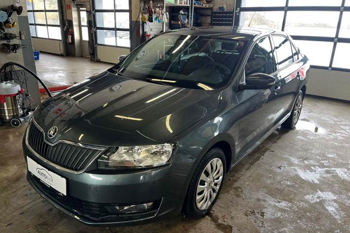 Grå Skoda Rapid fra 2019 set udefra