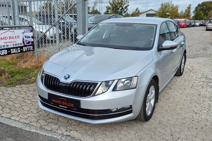 undefined Skoda Octavia fra 2019 set udefra