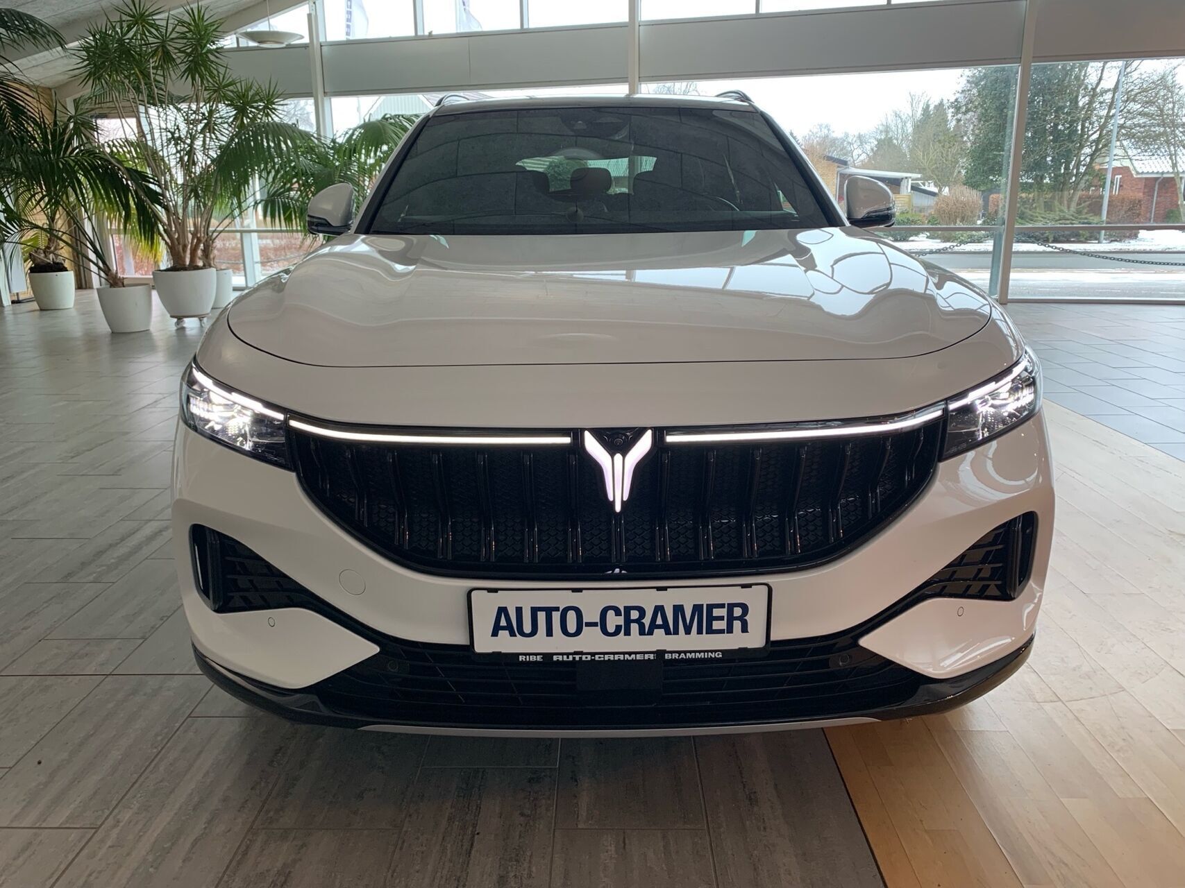 Voyah Free EL Black Line AWD 489HK 5d Aut.