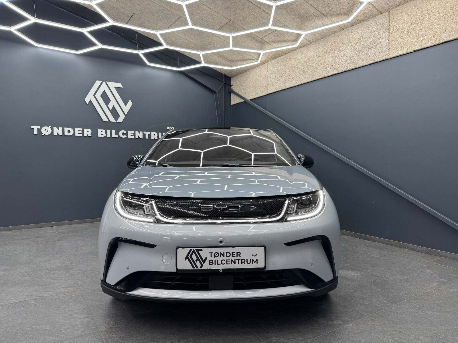 BYD Dolphin 60 Design