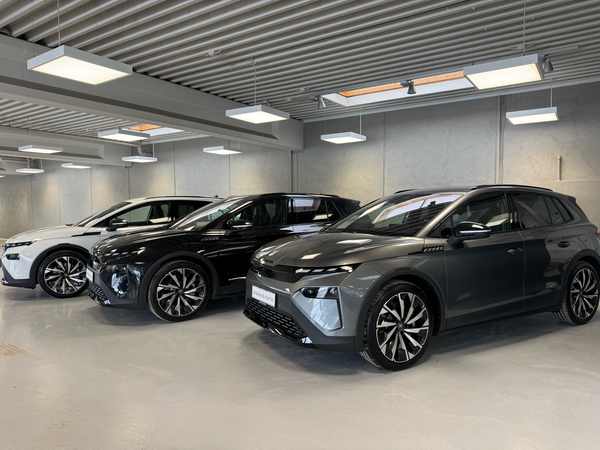 Hvid Skoda Elroq fra 2026