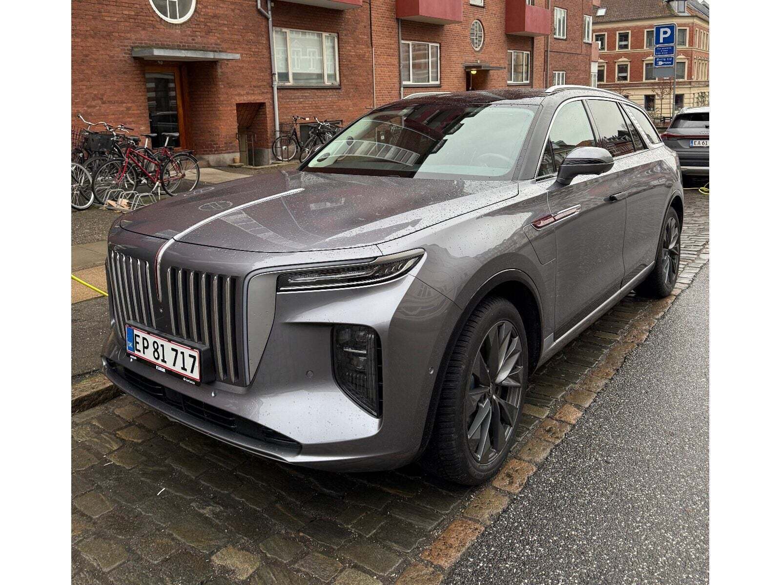 Hongqi E-HS9 99 Exclusive