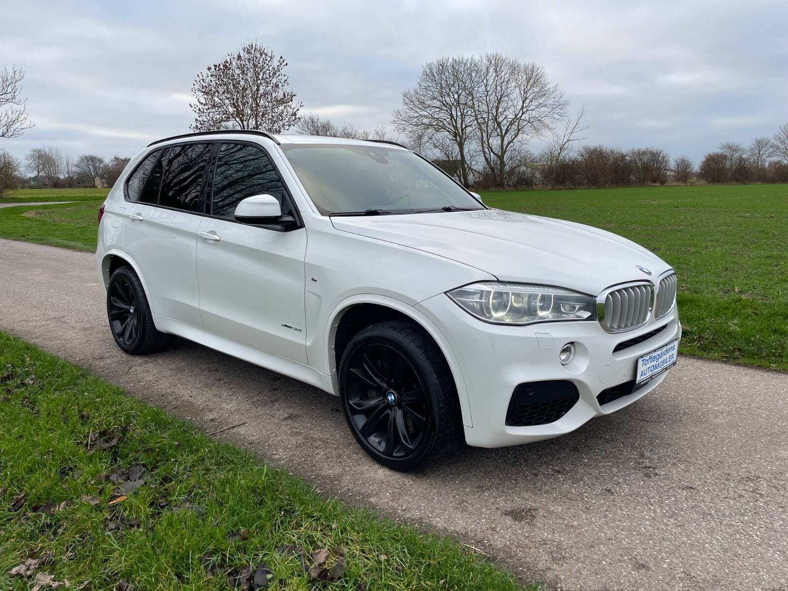 BMW X5 4,4 xDrive50i aut.