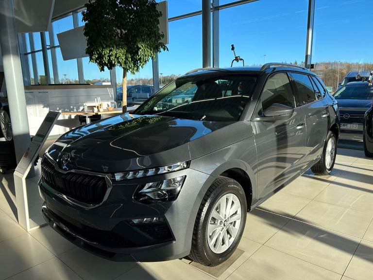 Skoda Kamiq 1,0 TSI 115 Selection DSG