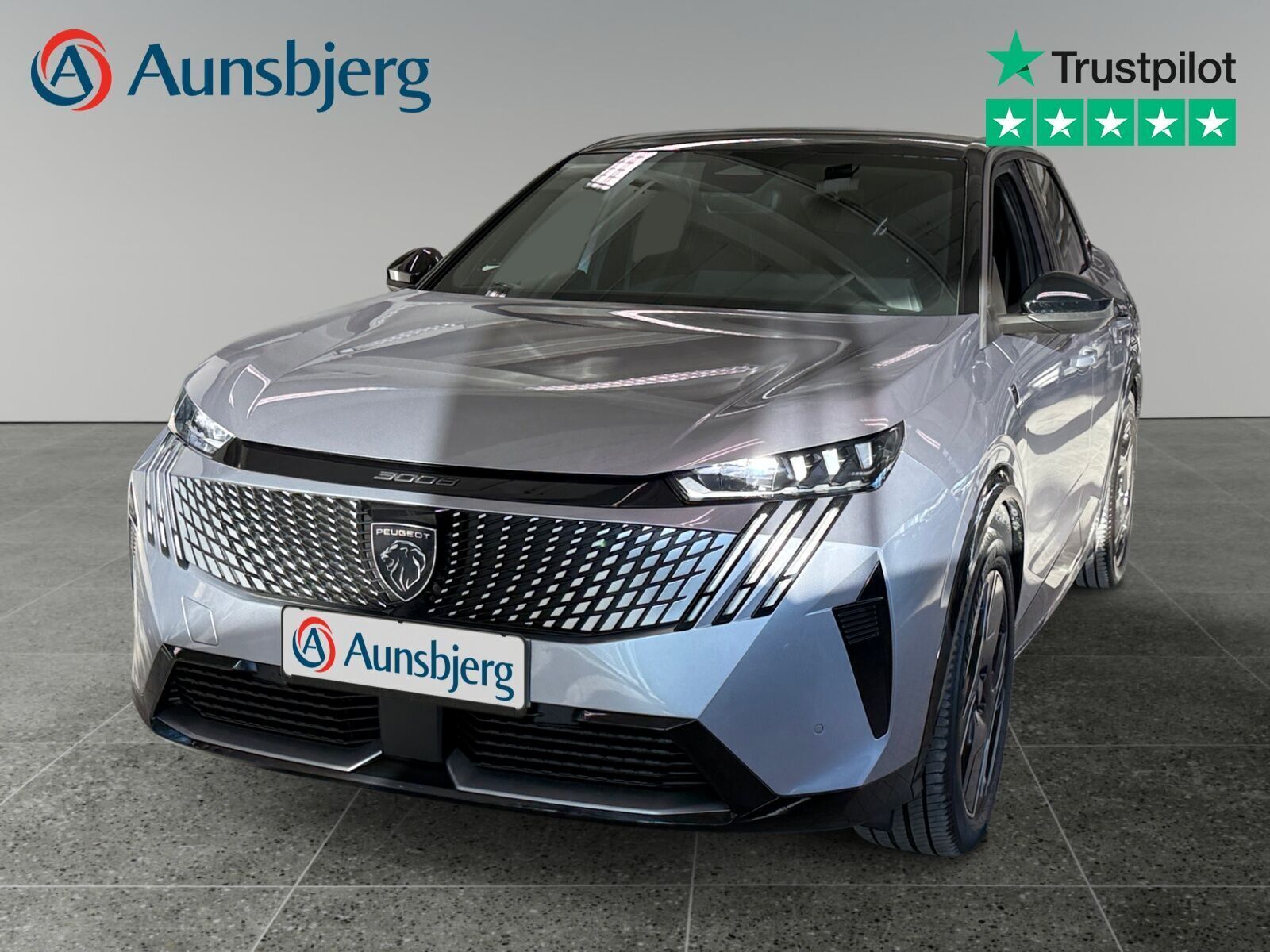 Peugeot e-3008 101 GT