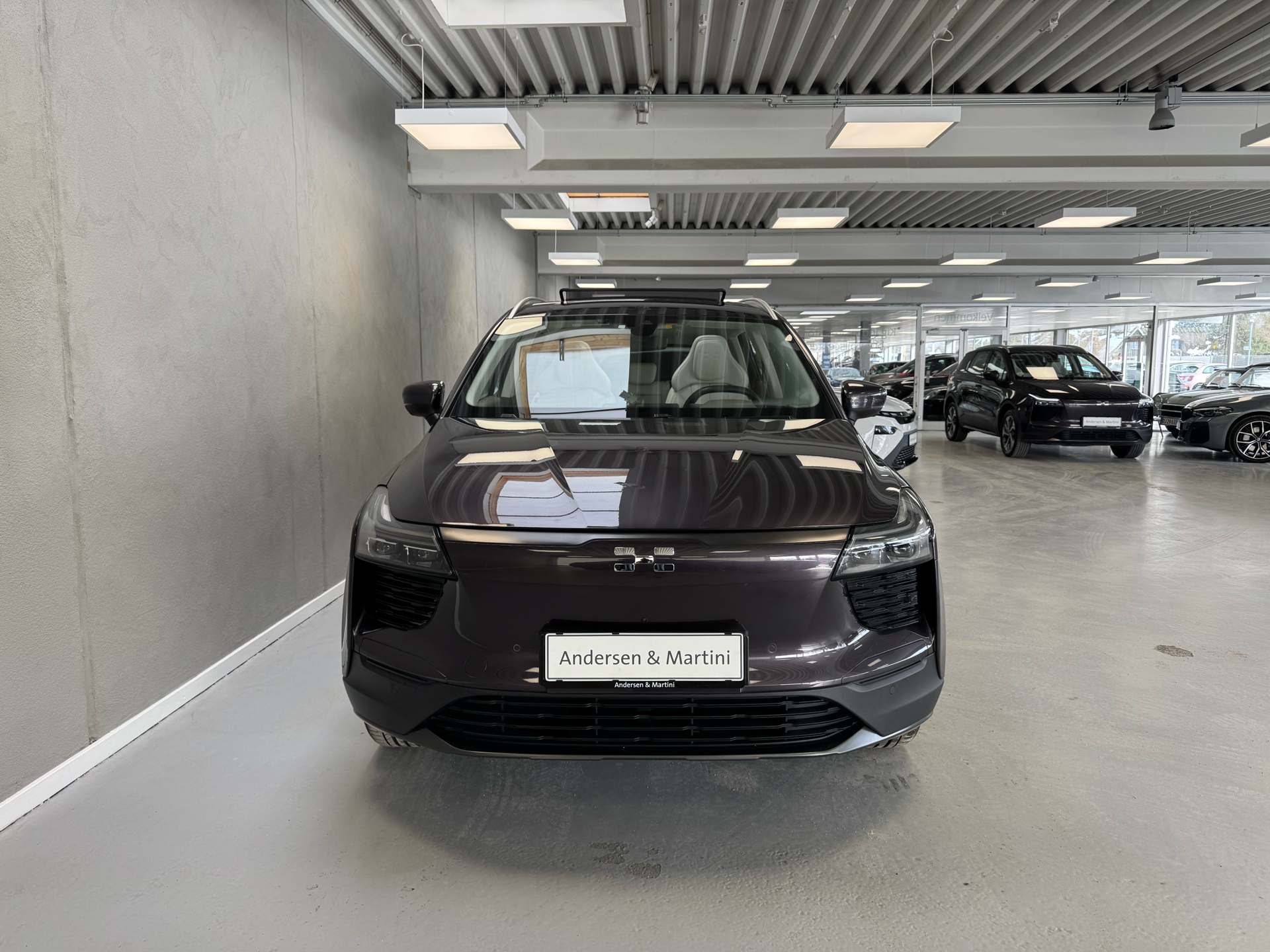 Aiways U5 EL Premium 204HK 5d Aut.