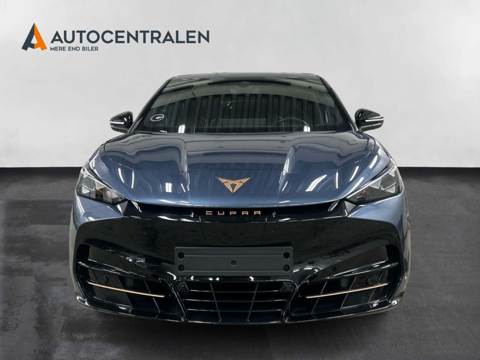 Cupra Tavascan 77 Endurance