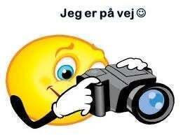 Skoda Kamiq 1,0 TSi 110 Life DSG