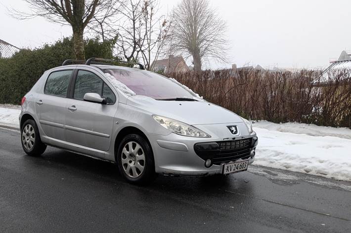 Sølv Peugeot 307 fra 2006