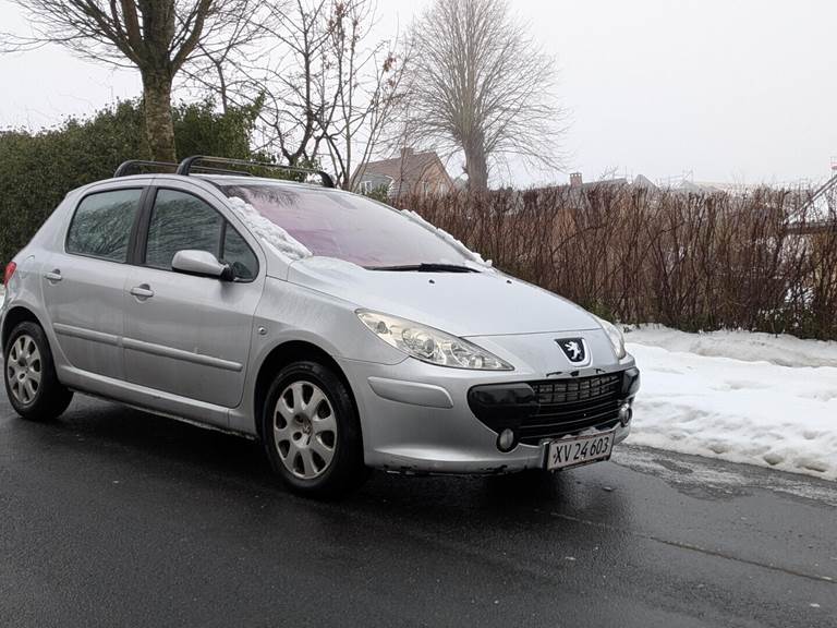 Peugeot 307 1,6 I