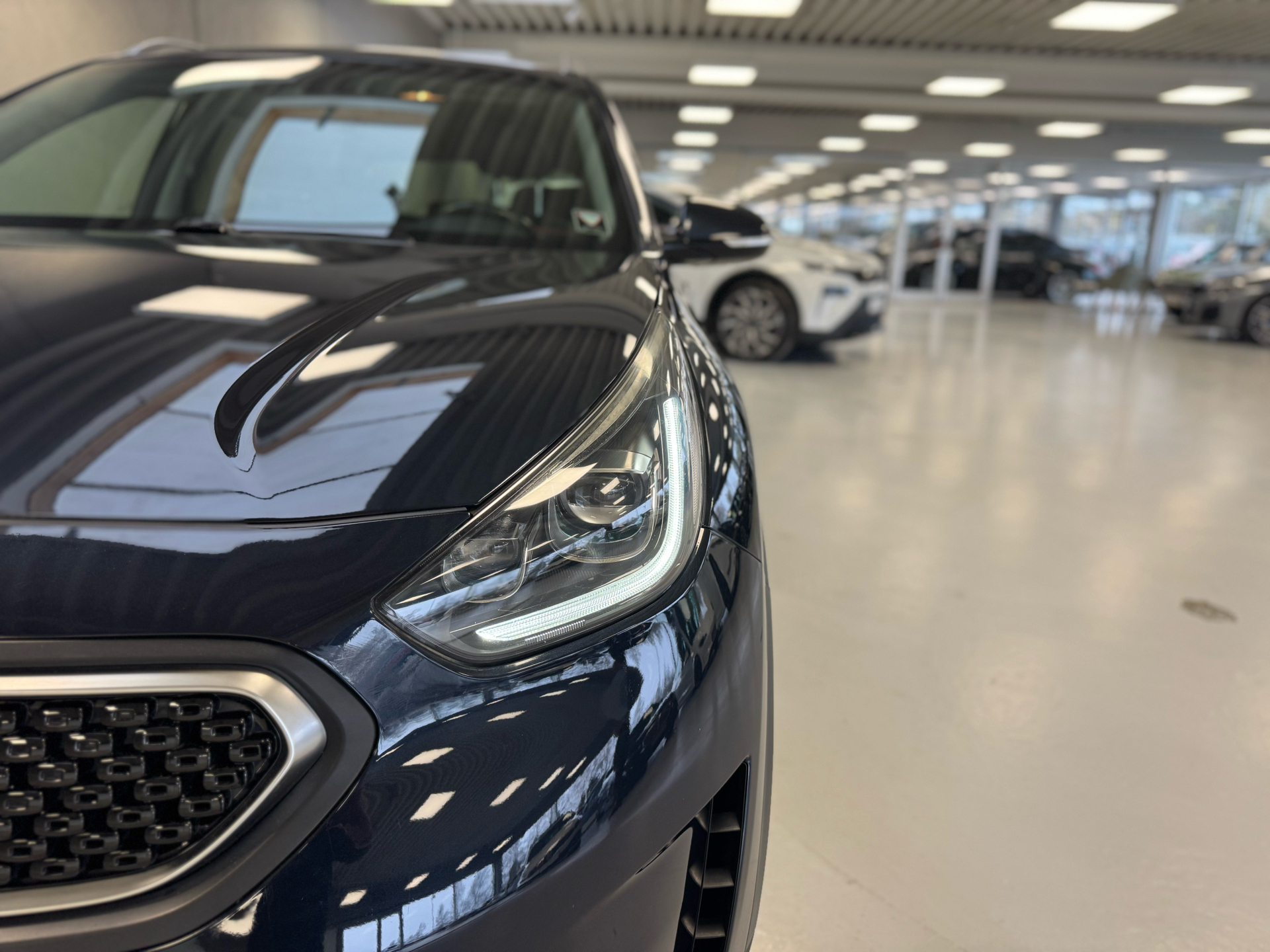 Blå Kia Niro fra 2019