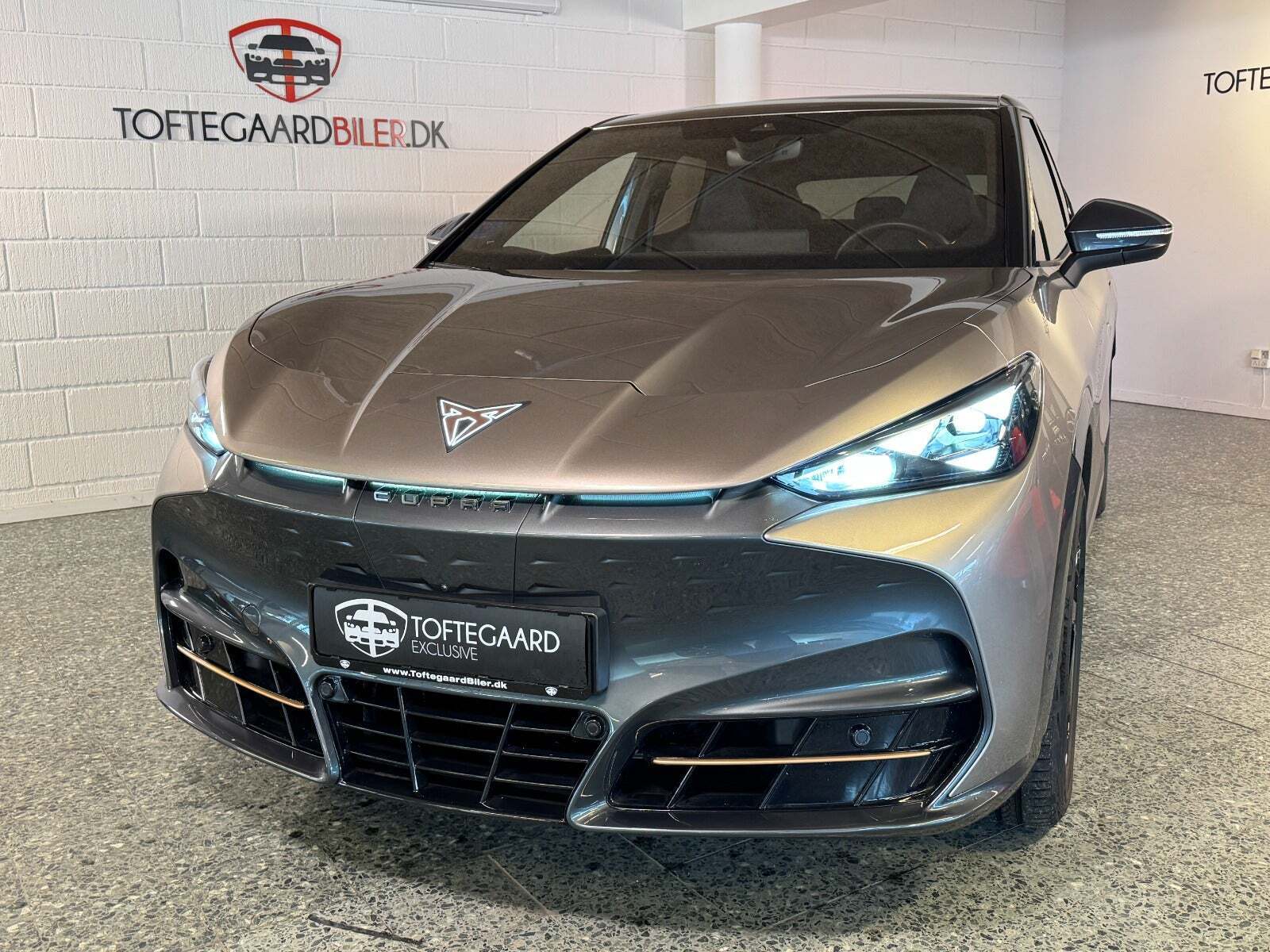 Cupra Tavascan 77 VZ Adrenaline