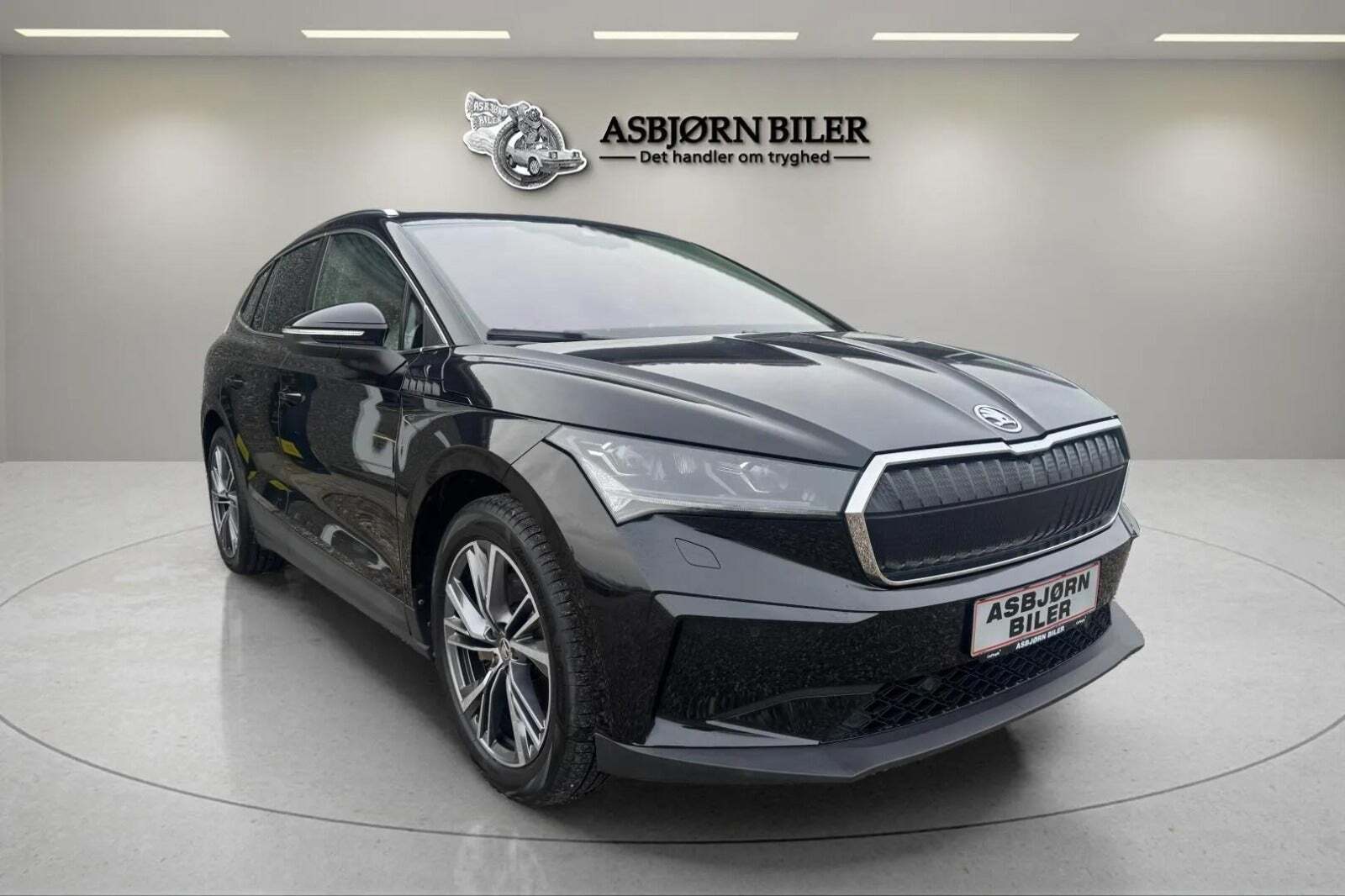 Skoda Enyaq 80 iV ecoSuite