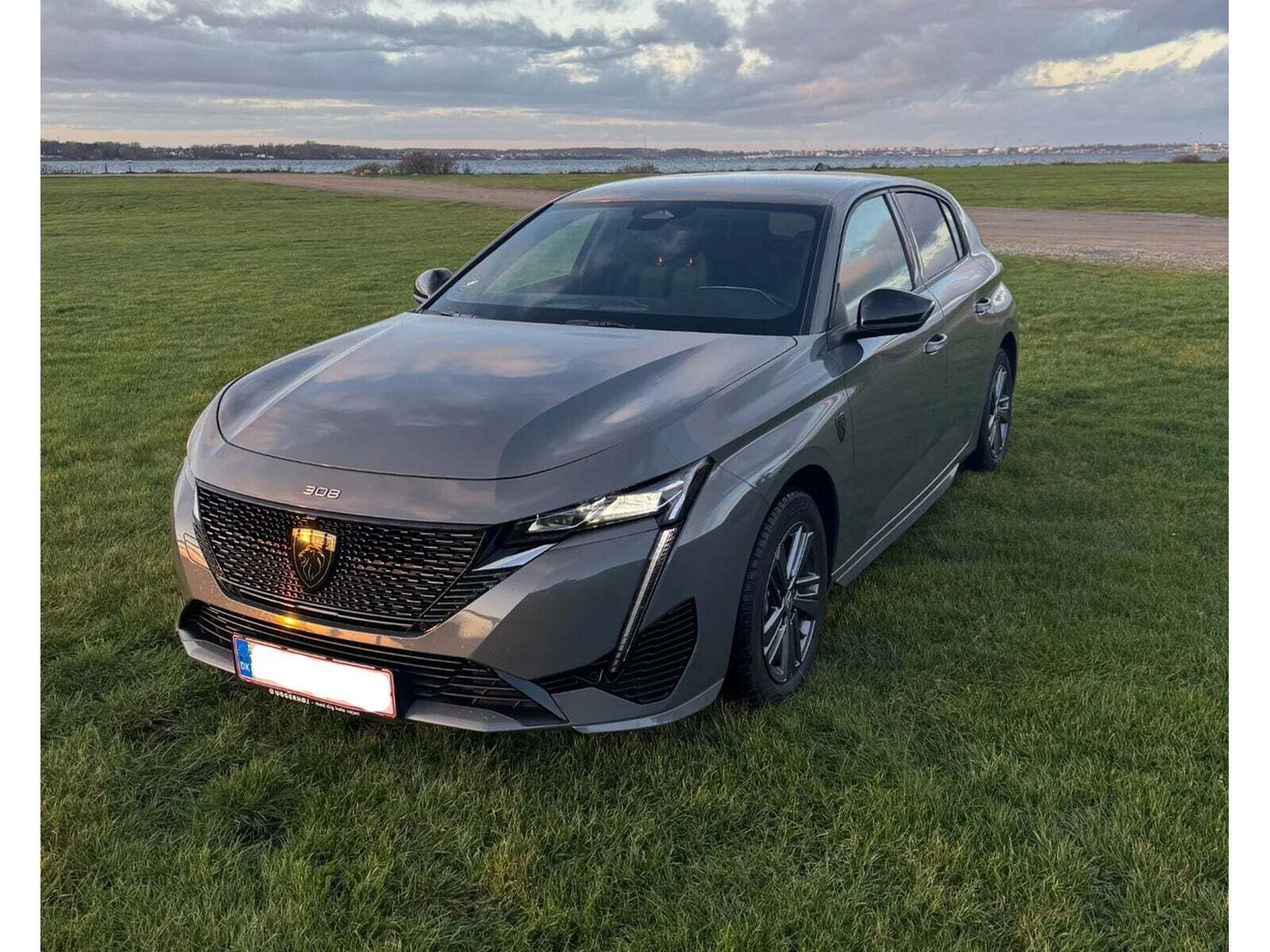 Peugeot E-308 54 First Edition