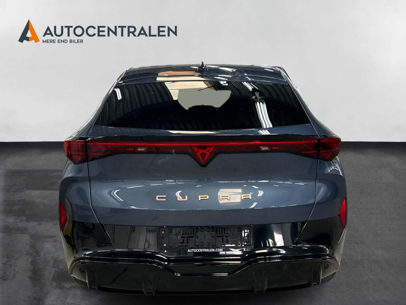 Cupra Tavascan 77 Endurance