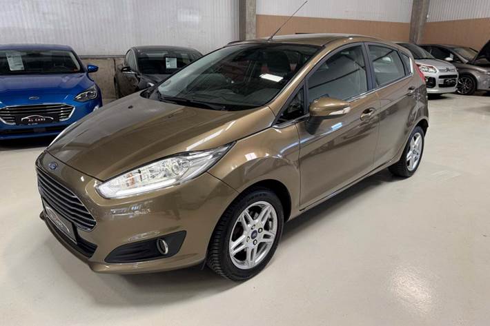 undefined Ford Fiesta fra 2014 set udefra