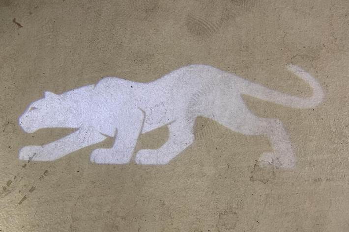 Hvid Ford Puma Gen-E fra 2025