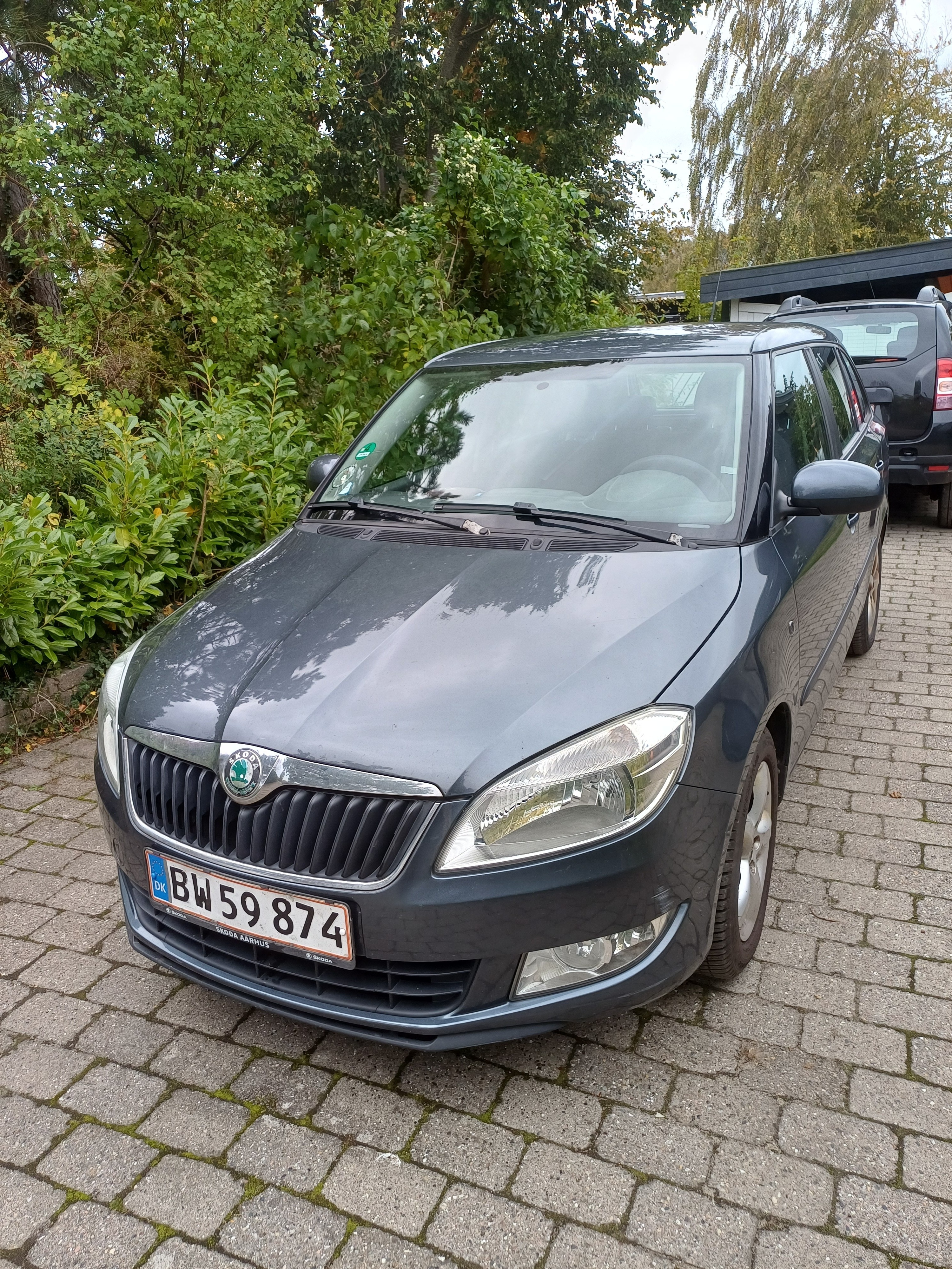 undefined Skoda Fabia fra 2010